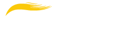 IT INSTITUTE